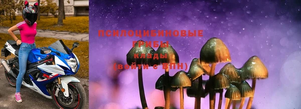 трава Нязепетровск