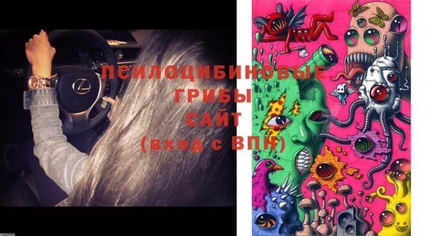 PSILOCYBIN Алексин